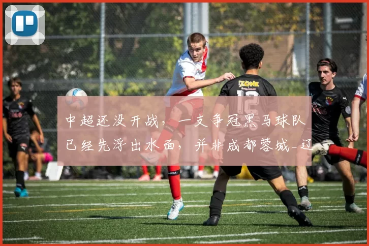 中超还没开战，一支争冠黑马球队已经先浮出水面，并非成都蓉城_辽宁_赛季_阵容