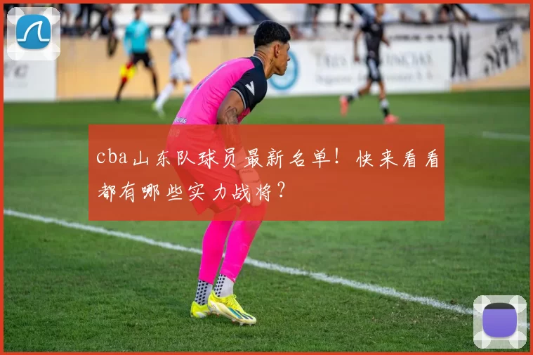 cba山东队球员最新名单!快来看看都有哪些实力战将?