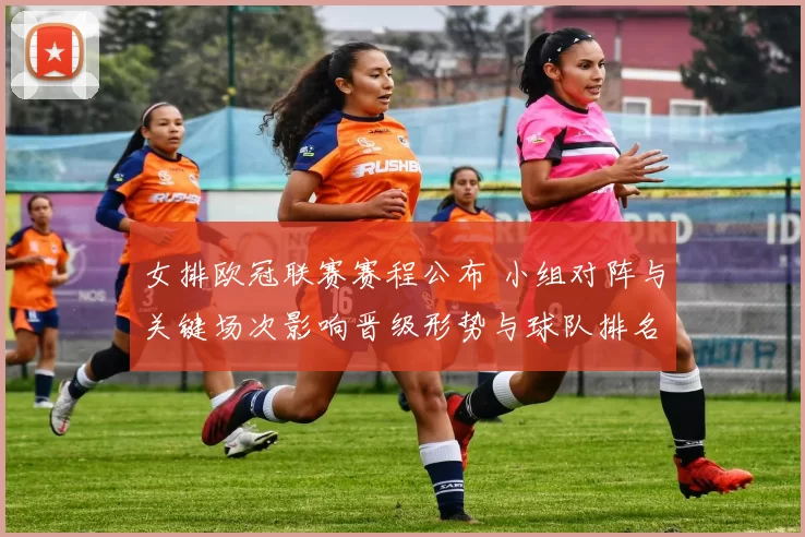 女排欧冠联赛赛程公布 小组对阵与关键场次影响晋级形势与球队排名