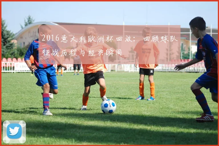 2016意大利欧洲杯回放:回顾球队征战历程与经典瞬间